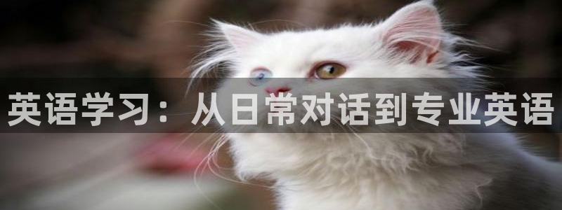 必发官网下载联系电话:英语学习:从日常对话到专业英语