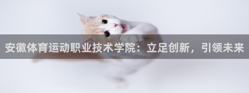必发官方正版app官方:安徽体育运动职业技术学院:立足创新,