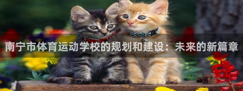 必发官网下载招商电话号码是多少啊:南宁市体育运动学校的规划和