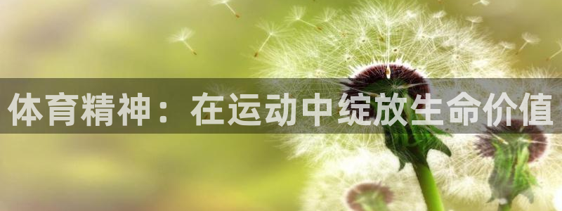 必发官网下载招商电话地址查询:体育精神:在运动中绽放生命价值