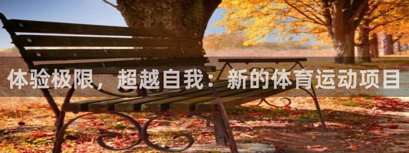 必发官网下载平台注册要钱吗安全吗:体验极限,超越自我:新的体