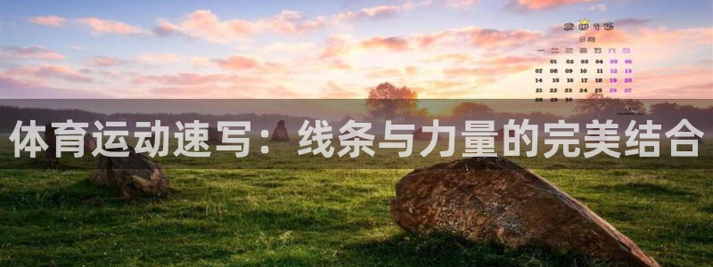 必发官方正版app集团官网网址:体育运动速写:线条与力量的完