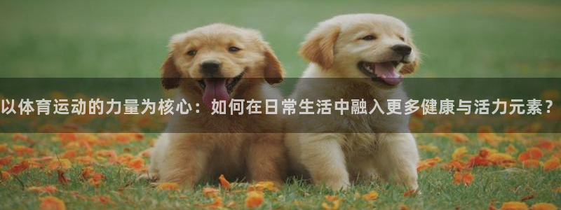 必发官方正版app神州:以体育运动的力量为核心:如何在日常生
